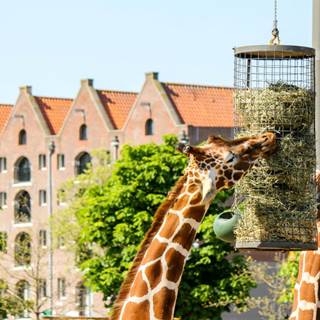 Pestana Amsterdam Riverside Events Calendar