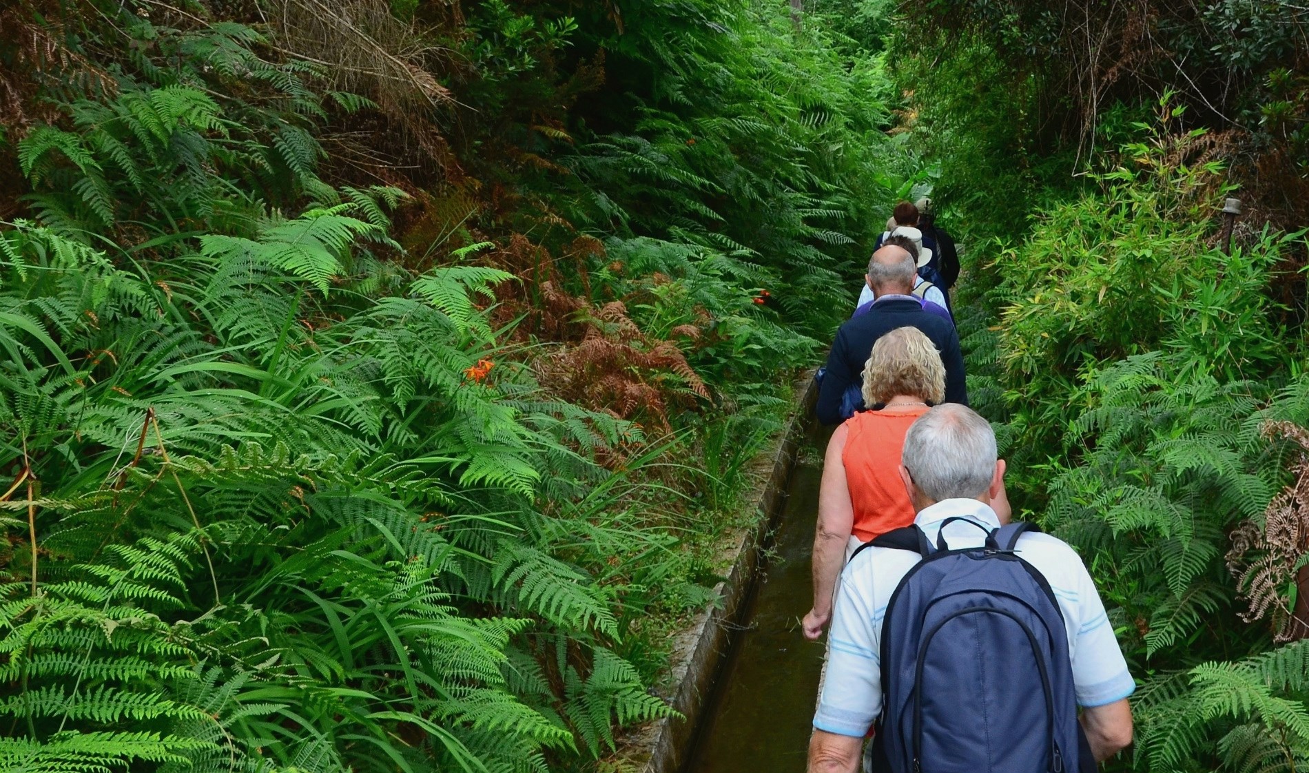 camara-de-lobos-levada-estreito