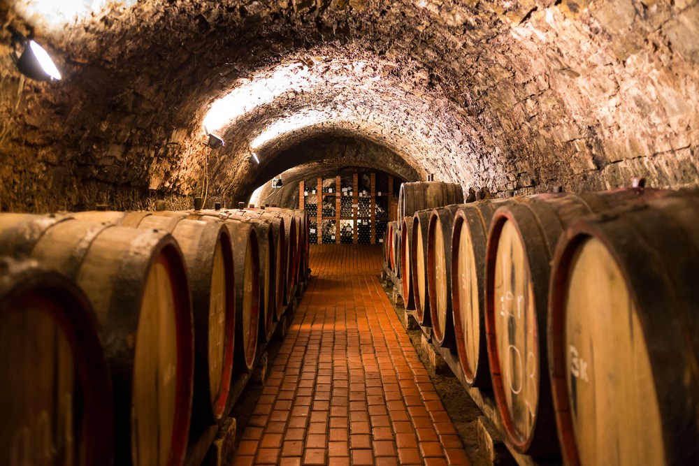 les caves du vin de Porto