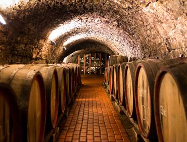 les caves du vin de Porto
