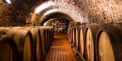 les caves du vin de Porto