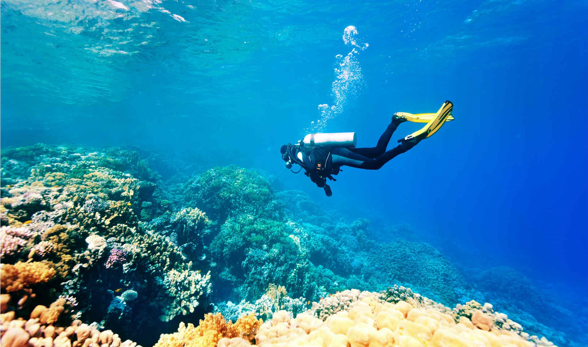 parque-ocean-revival-algarve