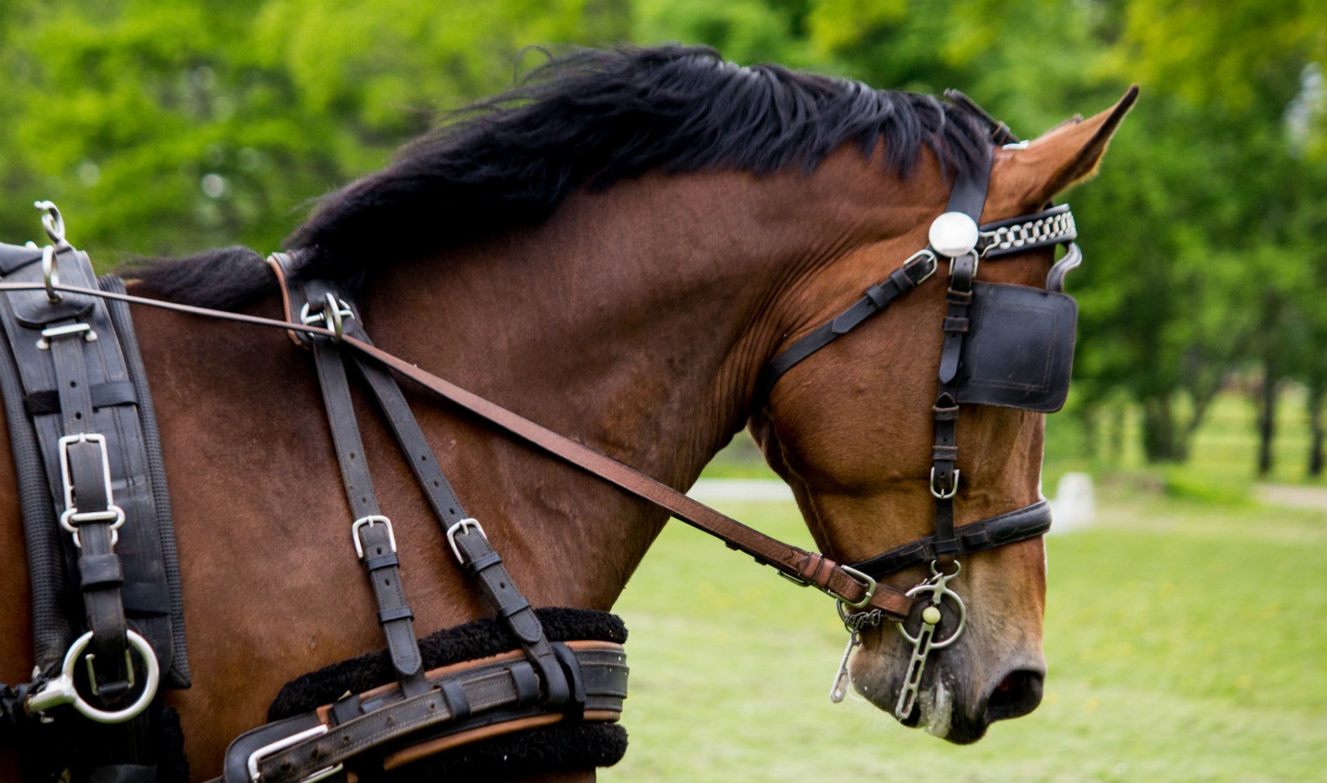 pousada-geres-ir-ver-3