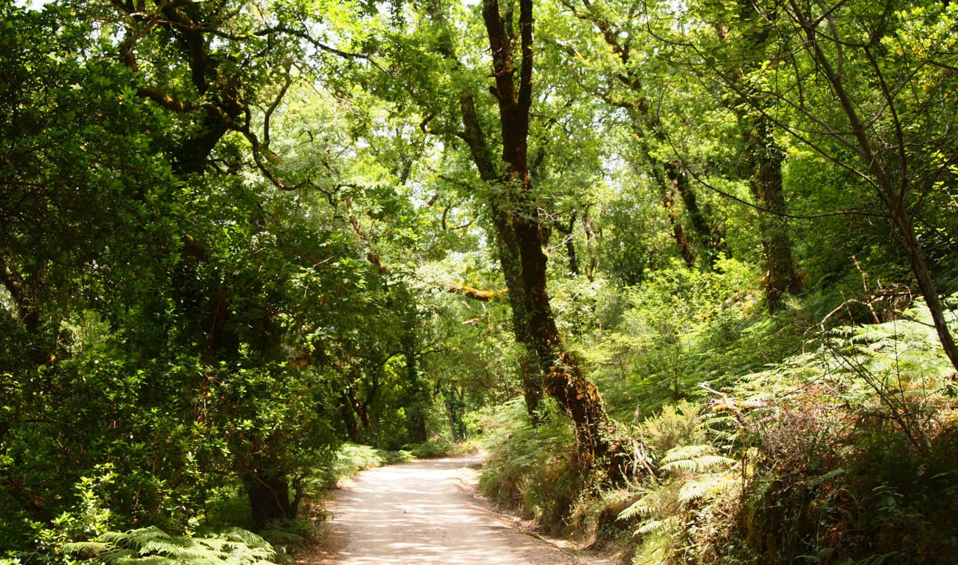 pousada-geres-ir-ver-9