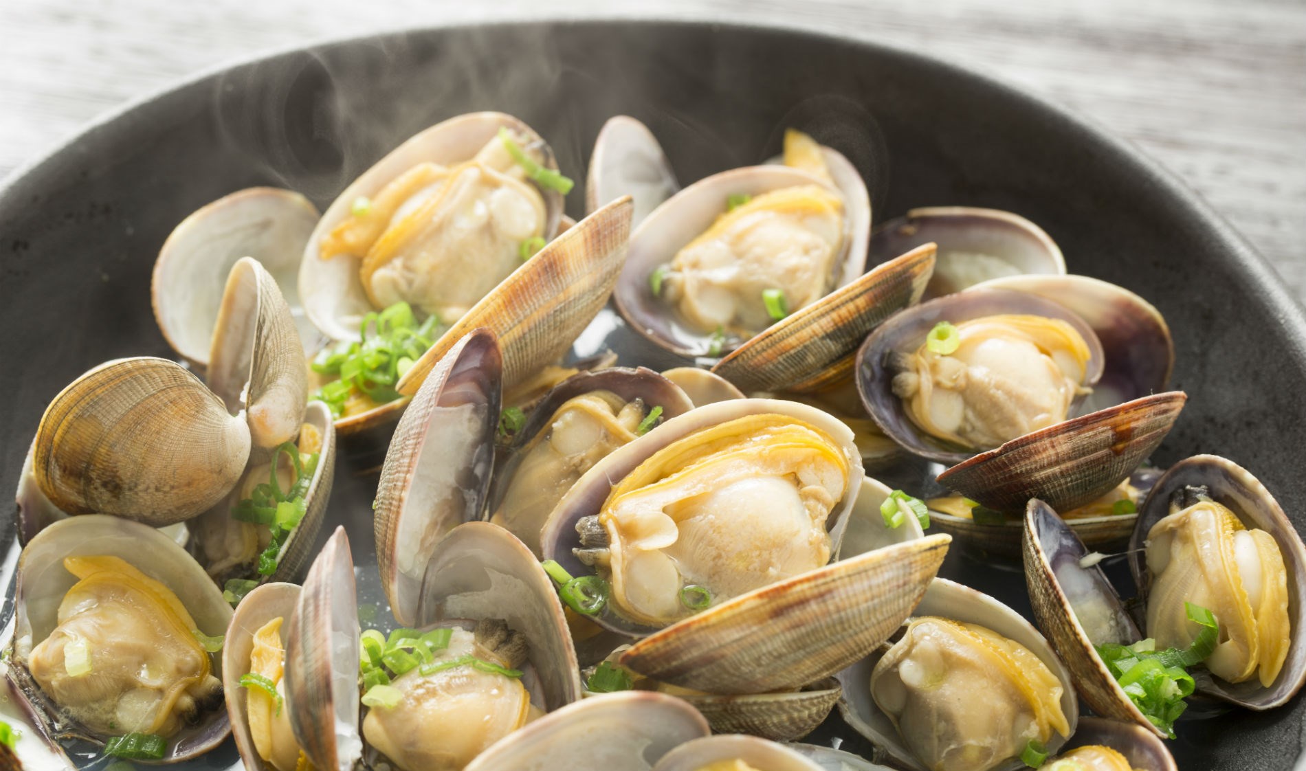 pousada-ria-ir-ver-3