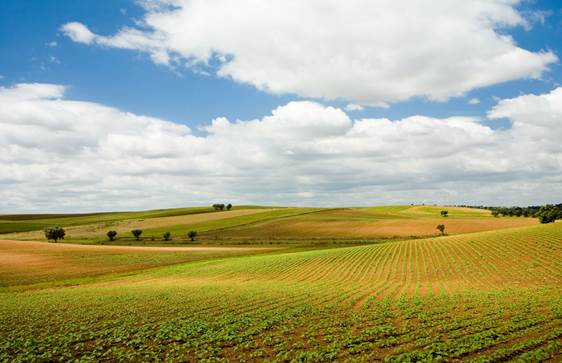 ALENTEJO