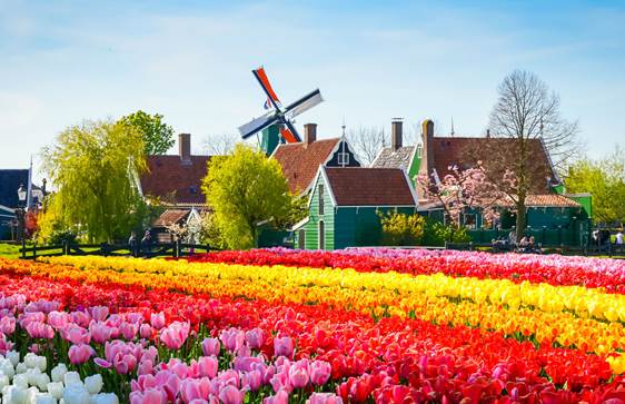 The Netherlands