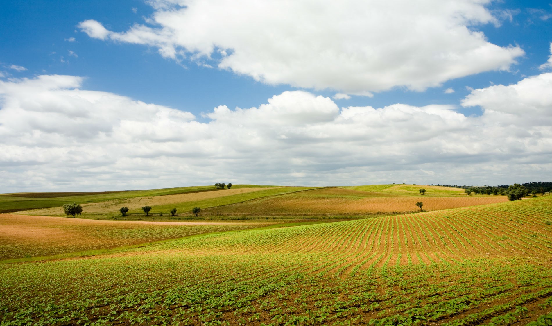 Alentejo