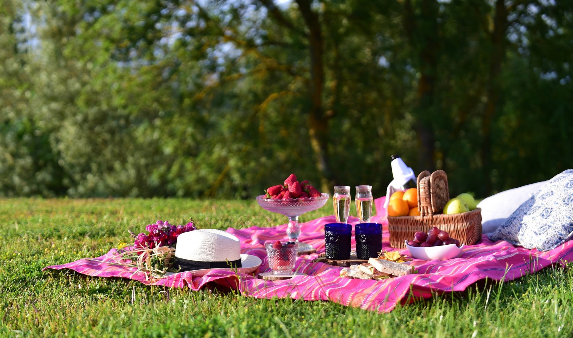 Picnic